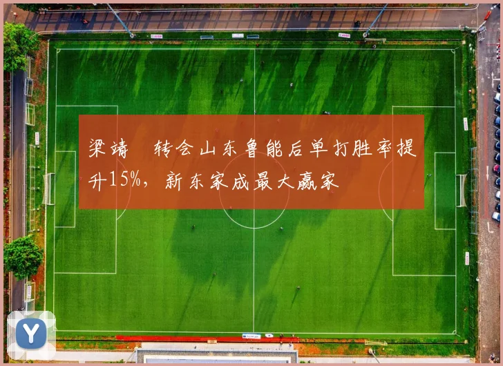 梁靖崑转会山东鲁能后单打胜率提升15%，新东家成最大赢家